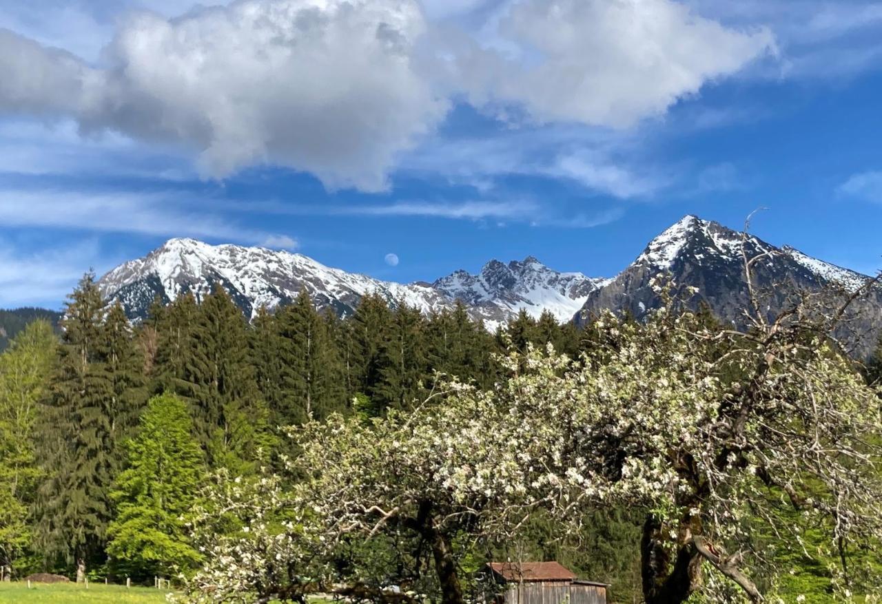 Gaestehaus Alpenruh Fischen im Allgaeu Bagian luar foto